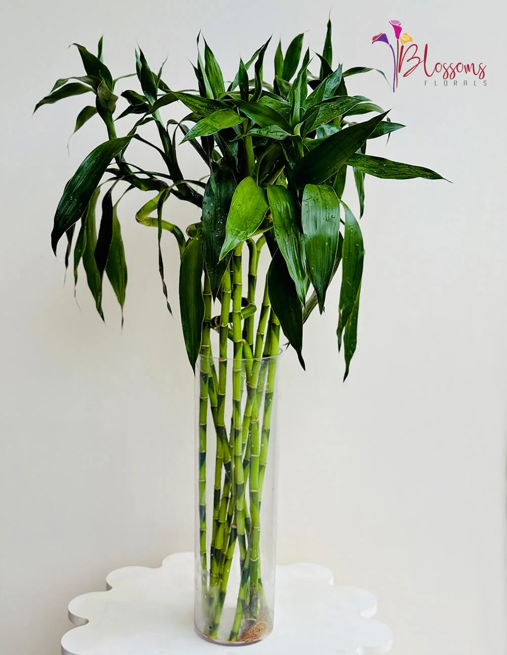 best room decor stores